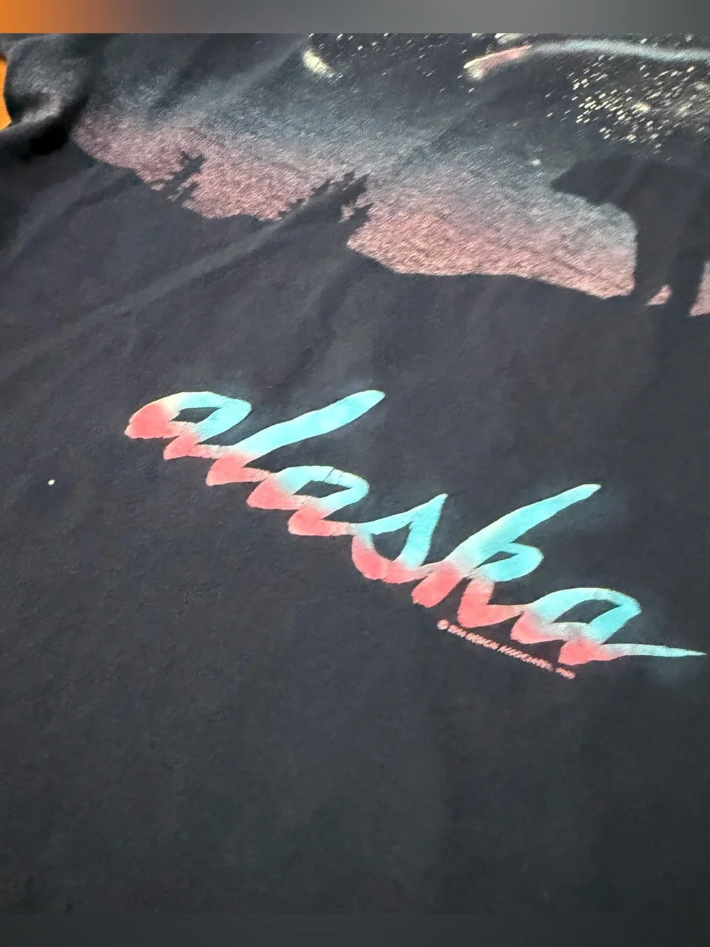 Vintage Alaskan Aurora Northern lights graphic print Crop top t- shirt USA